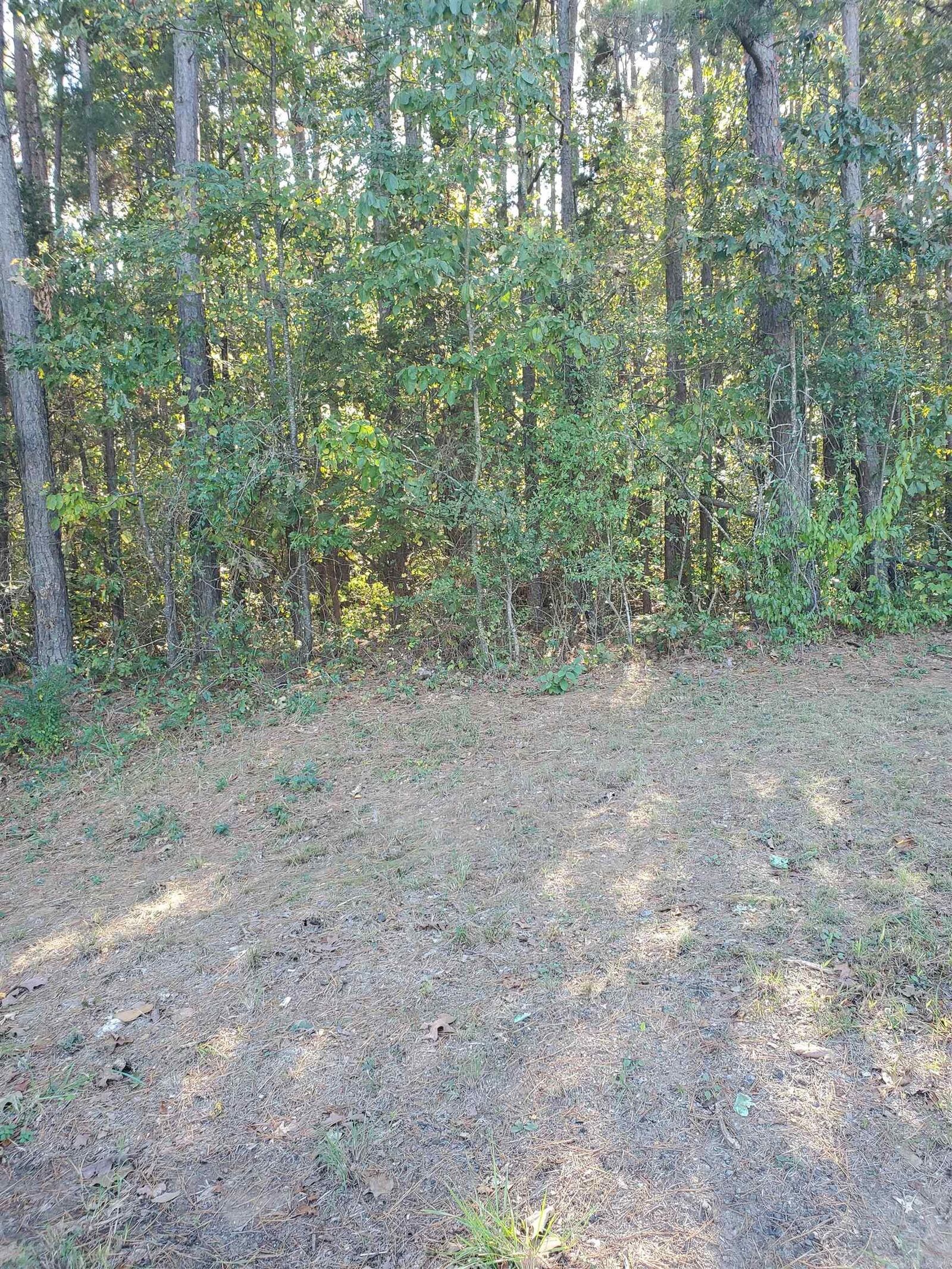 Property Photo: 00 Country Wood Rd. AR 72131