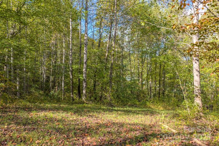 Property Photo: 170 Midnight Sun Lane NC 28762