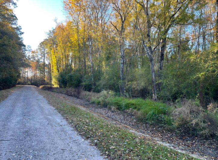 Property Photo:  00 Dig It Rd  SC 29483 