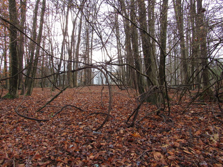 Property Photo:  3 Bucco Reef Rd  PA 15801 