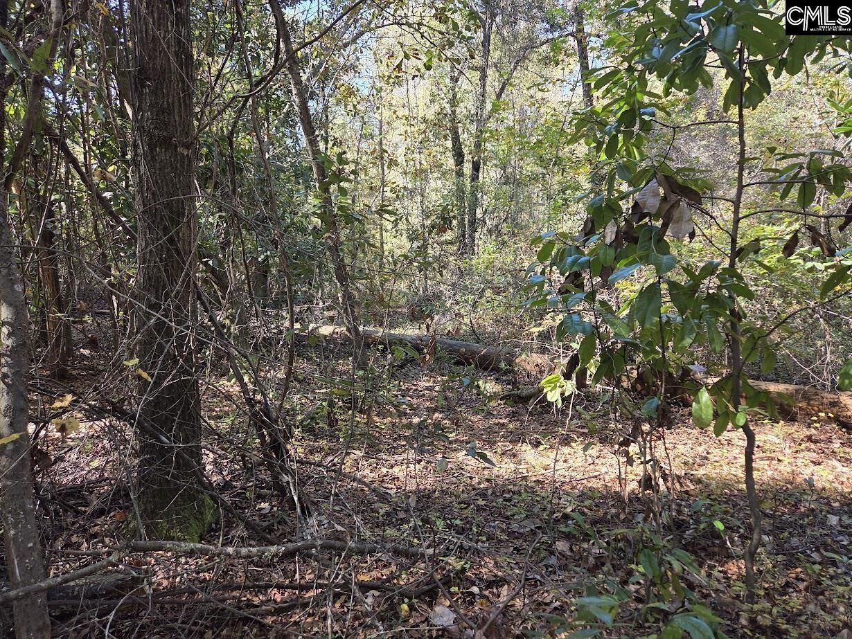 Property Photo: 17 Five Bridges SC 29020