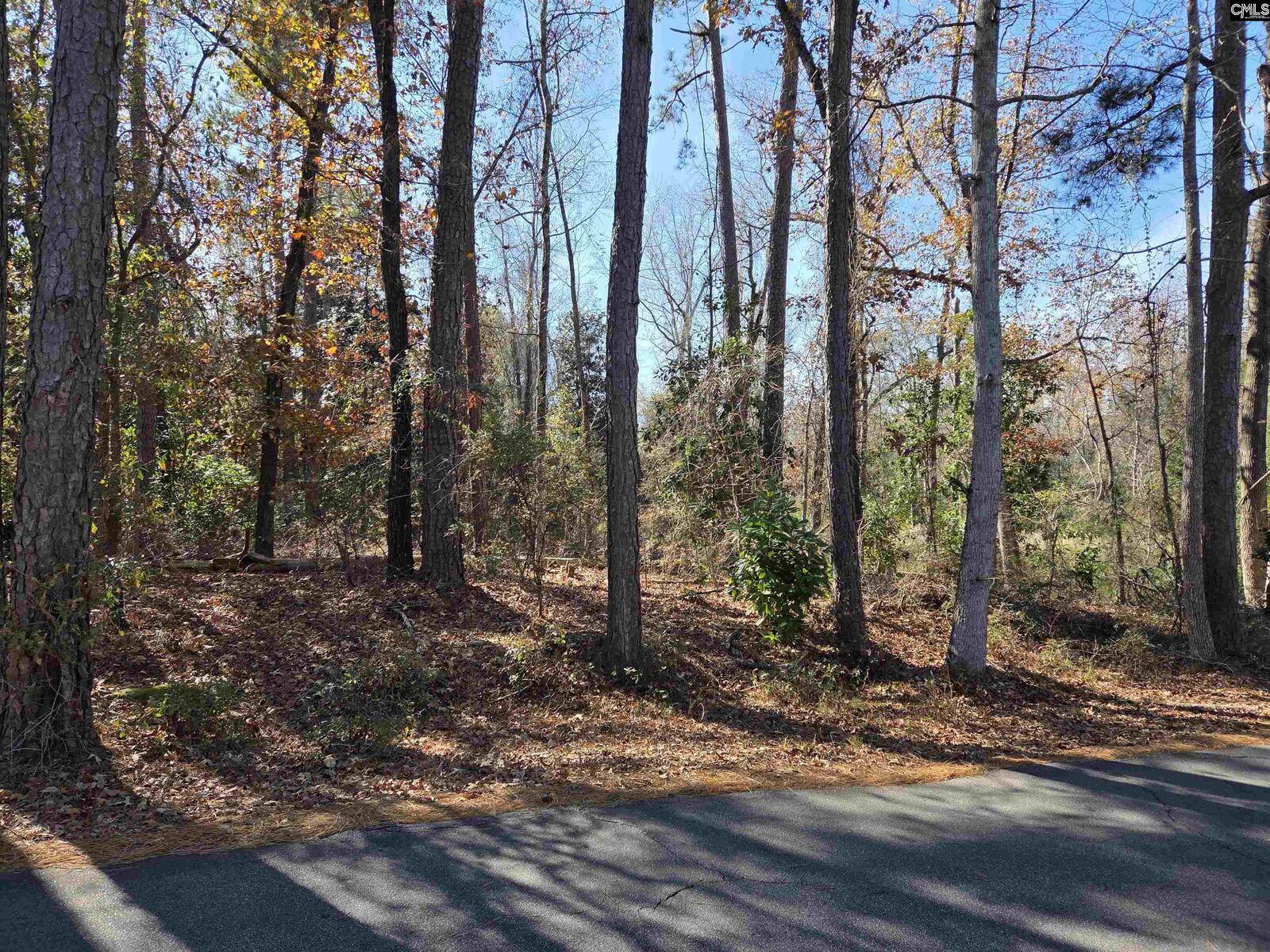 Property Photo: 17 Five Bridges SC 29020