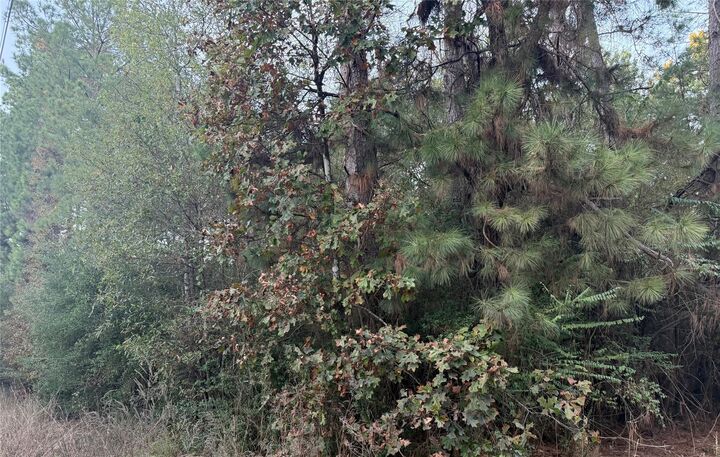 Property Photo: Lot 111-A Pioneer Tr TX 77351