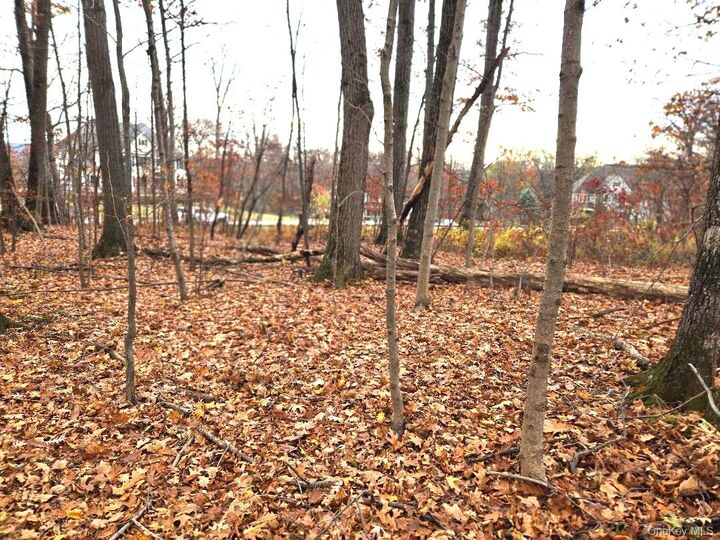 Property Photo: Lot 16 Newton Rd NY 12524