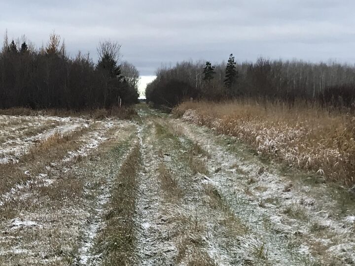 Property Photo: 0000 M-48 MI 49780