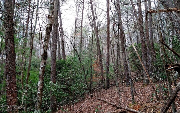 Property Photo:  20 Ac Hidaway Drive  GA 30536 