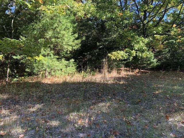 Property Photo:  Tbd W Etherington  MI 49701 