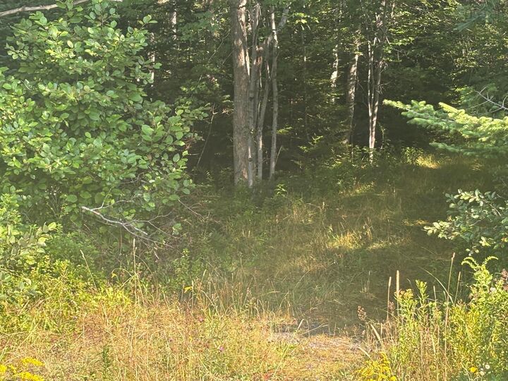 Property Photo:  Central Port Mouton Road  NS B0T 1T0 