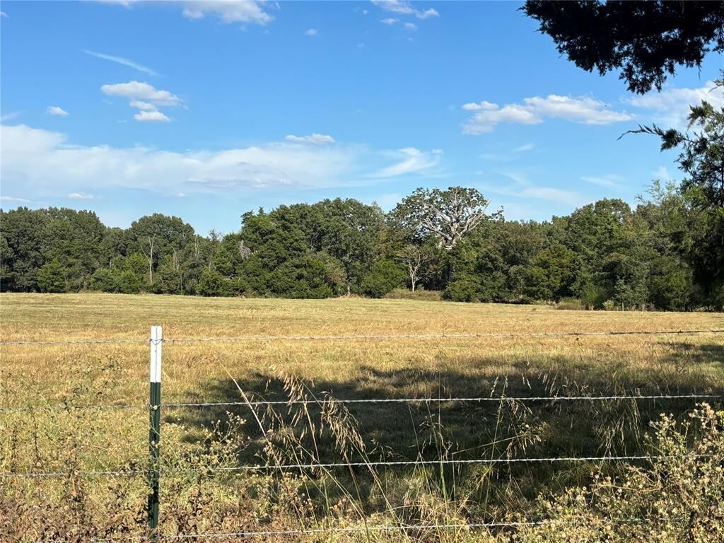 Property Photo: 573 County Rd 1116 E TX 75482