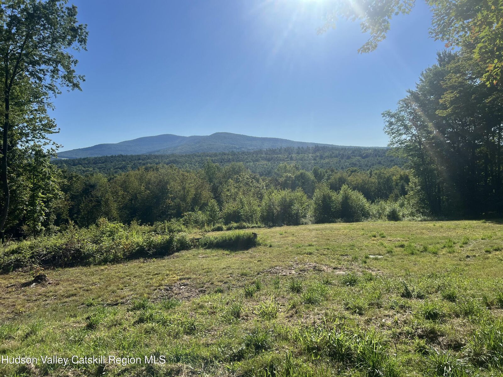 Property Photo: 0 Blueberry NY 12468