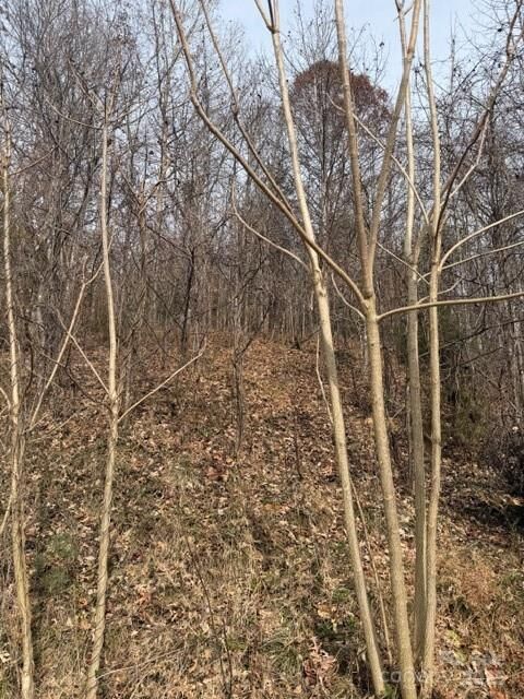 00 Yancey Road  Marion NC 28752 photo