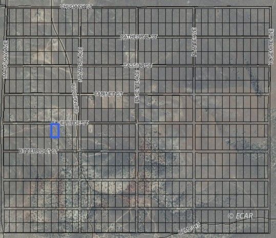 Property Photo:  066020004 Blue Ridge Street  NV 89801 