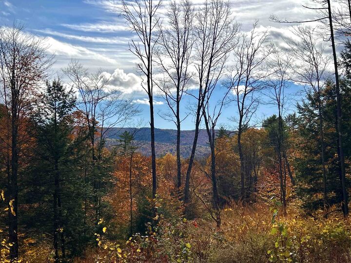 Property Photo: 150 Peaked Hill Road NH 03222