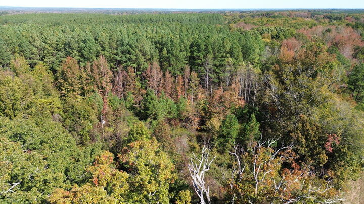 Property Photo:  8100 Stage Coach Rd  VA 24577 