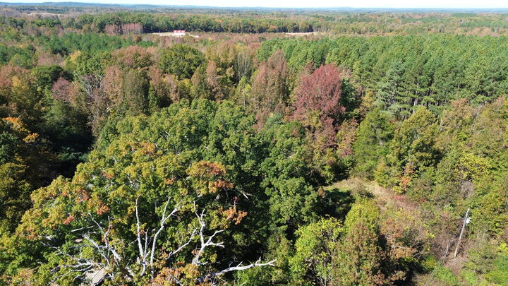 Property Photo:  8100 Stage Coach Rd  VA 24577 