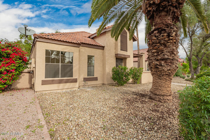 Property Photo: 1830 E Secretariat Drive AZ 85284