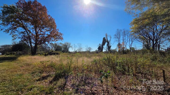 Property Photo:  000000 Reepsville Road  NC 28168 