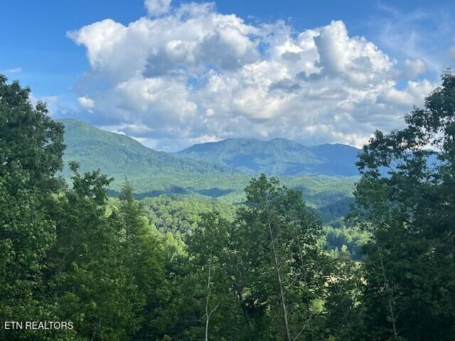 Property Photo: 5262 Riversong Way TN 37862