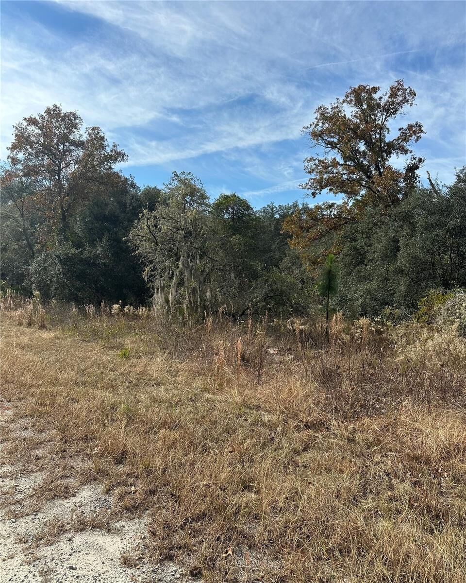 Property Photo: Lot 26 SE 133rd Avenue FL 34434