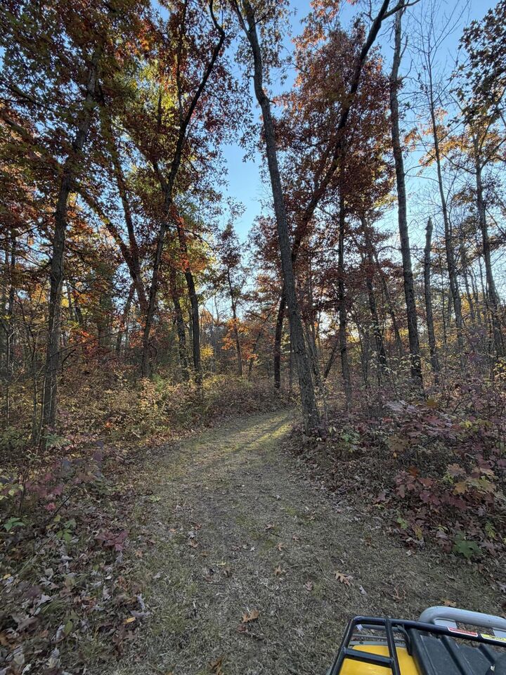 Property Photo: V/L Maple Hill Road MI 49329
