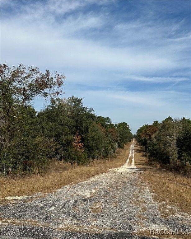 Property Photo: Lot 26 SE 133rd Avenue FL 34434