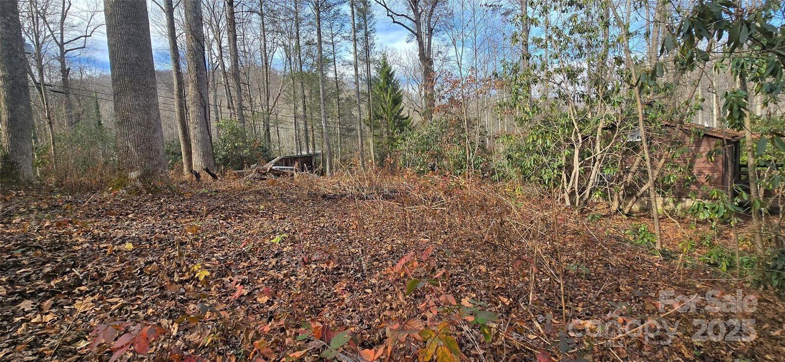 Property Photo: Lot 20 Twinbrook Lane NC 28751