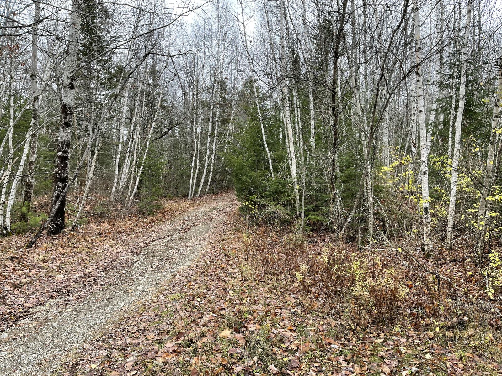 Property Photo: 194 E Gulch Road ME 04986