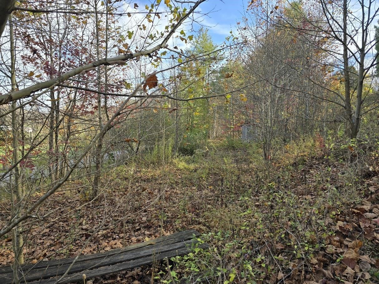 Property Photo: 95 Zane Lane KY 41141