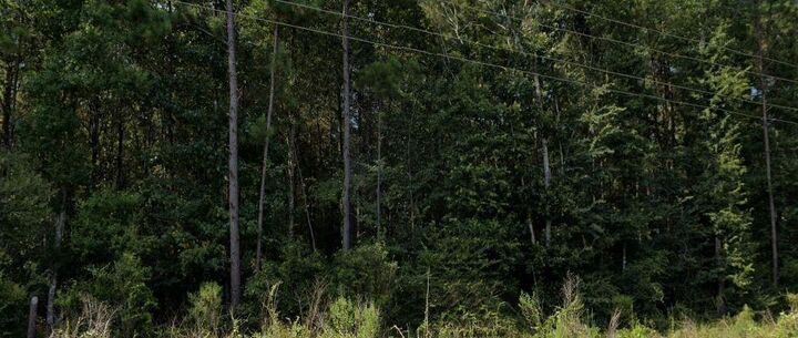 Property Photo:  10.4 Acres Hwy 107 Highway  LA 71360 