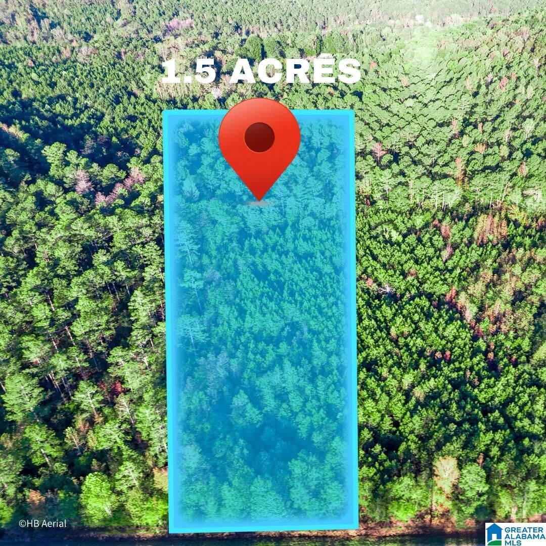 Property Photo:  Tract 2B County Road 329 Tract 2B  AL 36278 