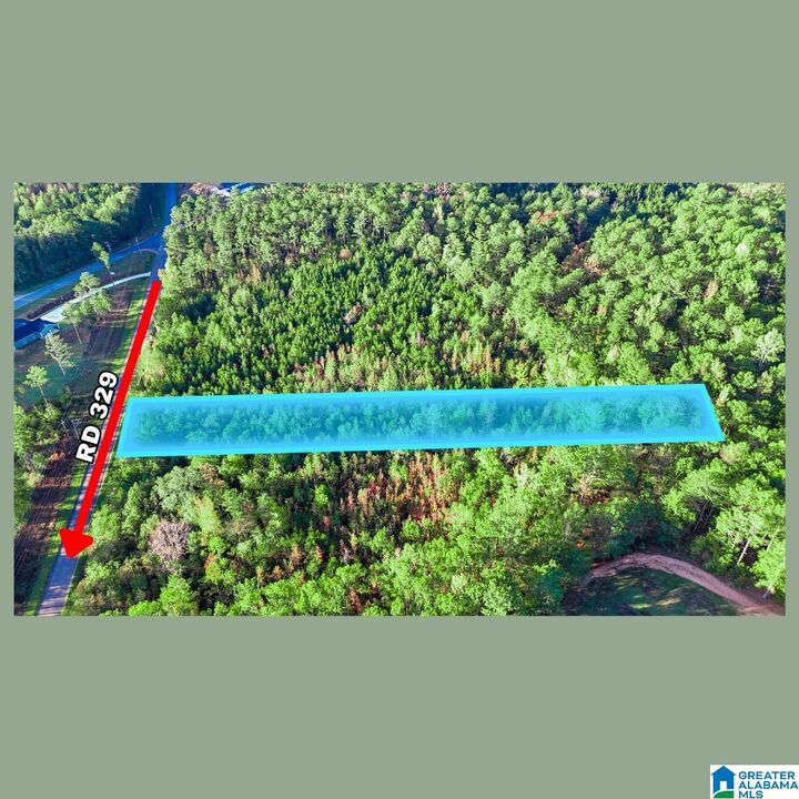 Property Photo:  Tract  3A County Road 329 Tract 3A  AL 36278 