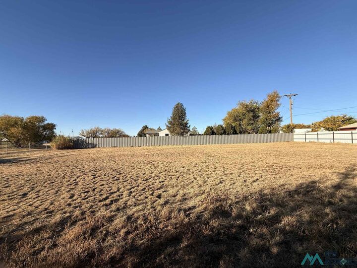 Property Photo:  116 Lynn Avenue  NM 88101 