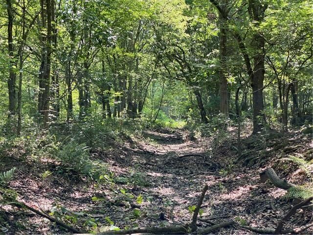 Property Photo: Poydras Plant Lot 10 LA 70085