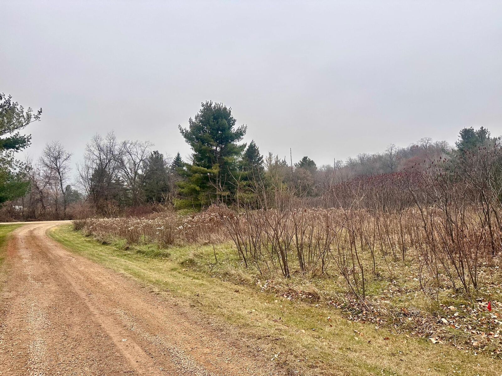 Property Photo:  Lot 1 County Rd M  WI 54022 
