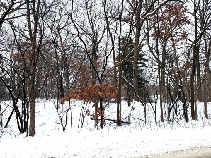 Property Photo:  377 Totem Road  MN 55119 