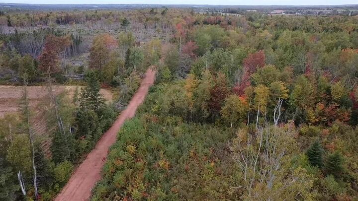 Acreage Bethel Road  Bethel PE C1B 3L4 photo