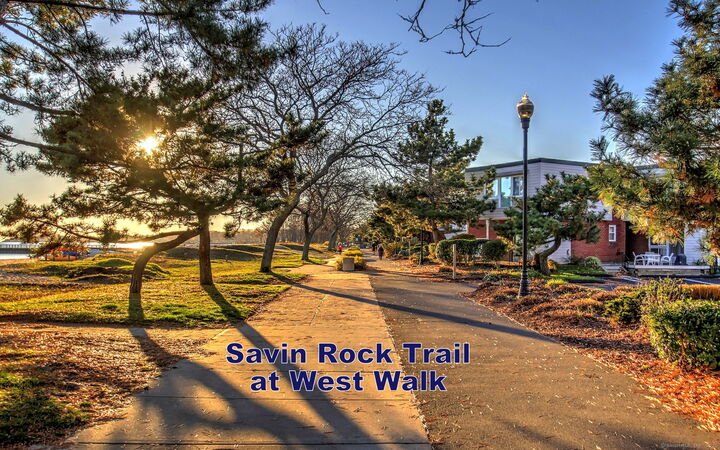 Property Photo:  65 West Walk 65  CT 06516 