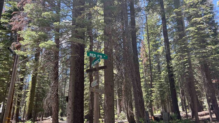 Property Photo:  51460 Red Fir Drive  CA 95728 