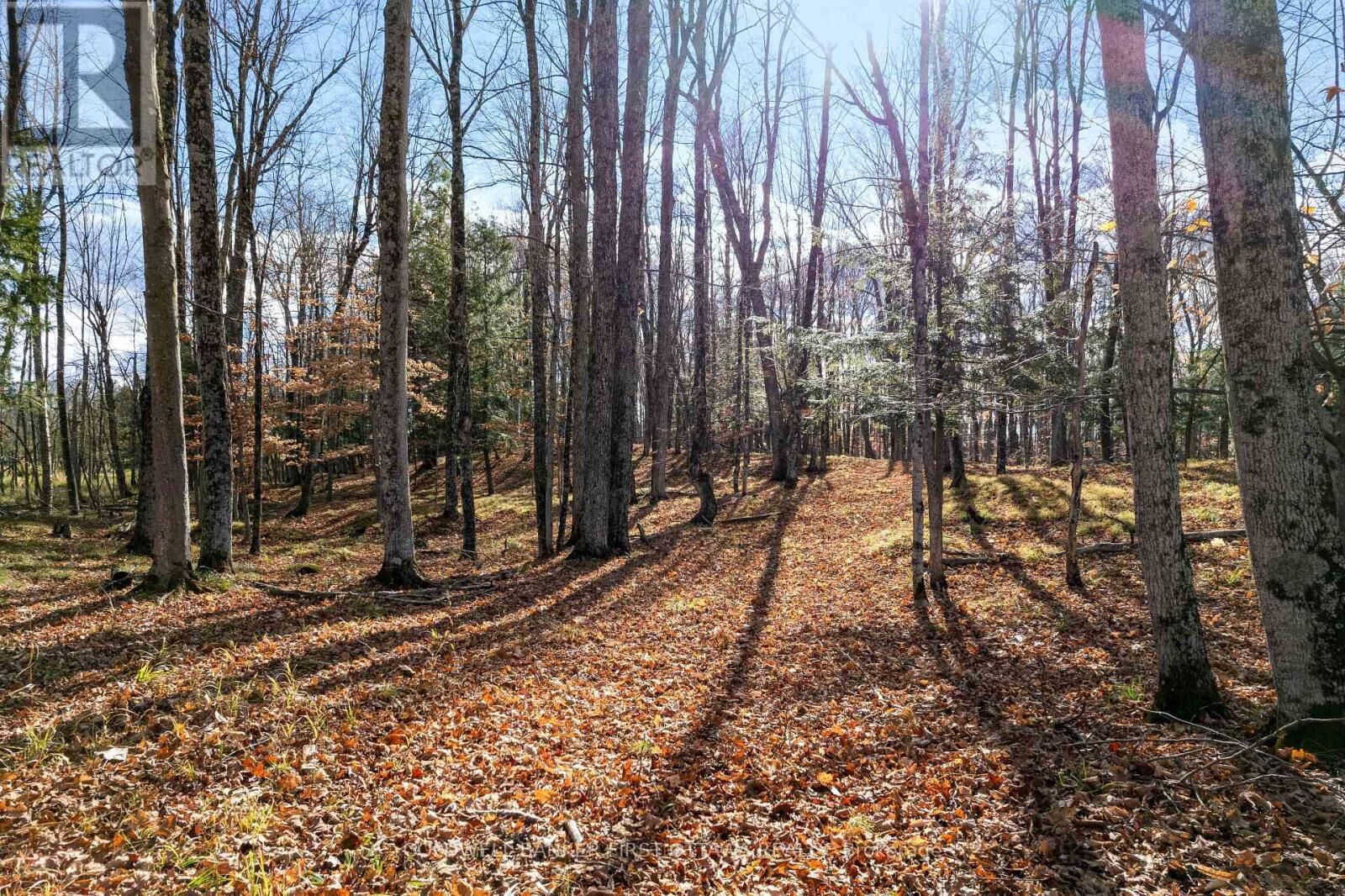 Photo de la propriété:  Pt 2-00 Herron Mills Road  ON K0G 1K0 