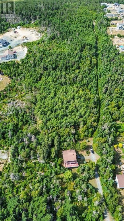 582-594 Indian Meal Line  Torbay NL A1K 1G5 photo