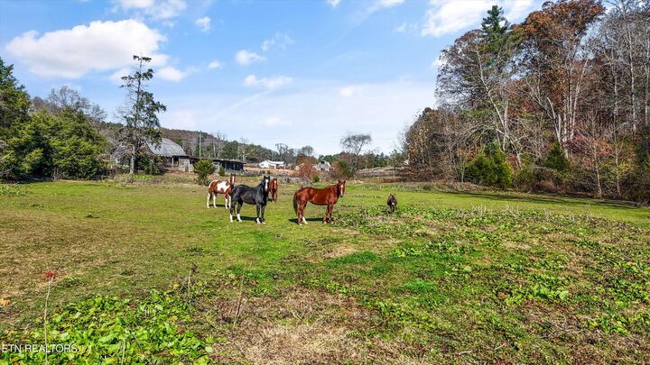 Property Photo:  5506 Raccoon Valley Drive  TN 37938 