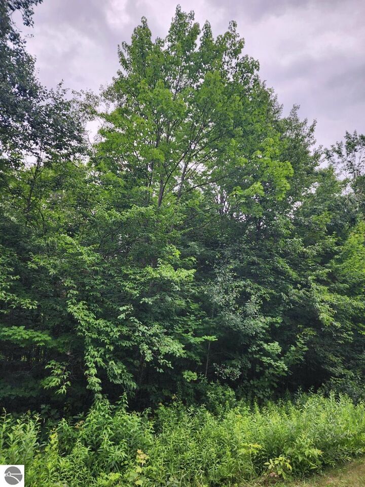 Property Photo: 5165 Snowridge Trail MI 49730