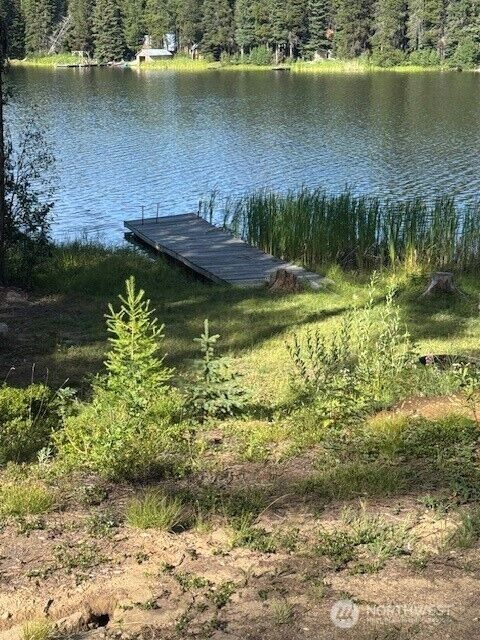 Property Photo: 478 Thompson Road WA 98849