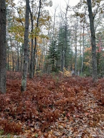 Property Photo:  6710 Chippewa Trail  MI 49779 