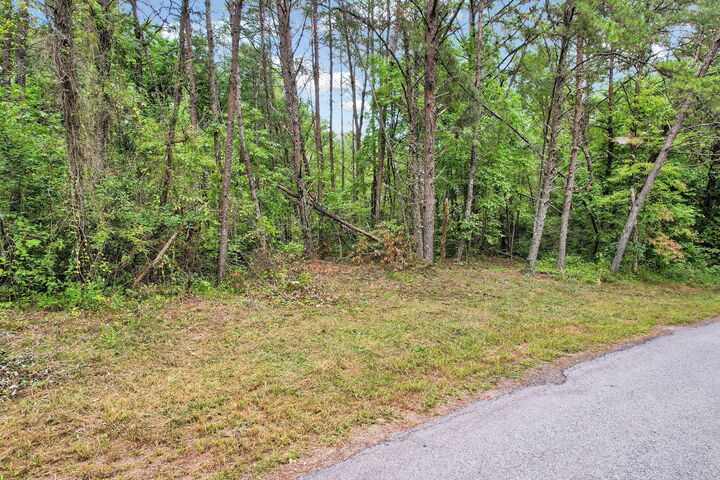 Property Photo:  000 Golf Course Road  TN 37317 