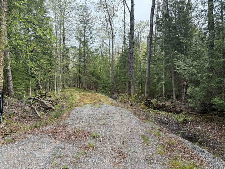 Property Photo:  0 Bear Cave Road  ON P0C 1J0 