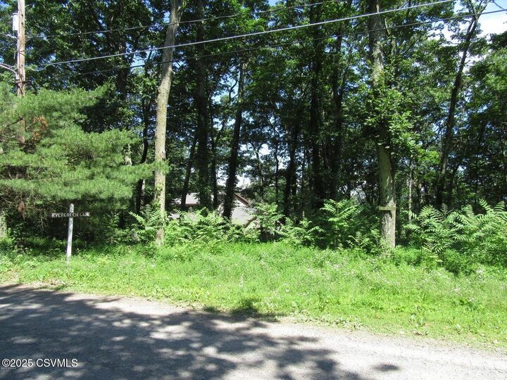 Property Photo:  171 Evergreen Lane  PA 17820 