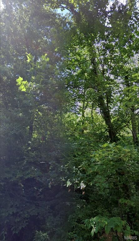 Property Photo:  10674 Gildea Road  MO 63664 