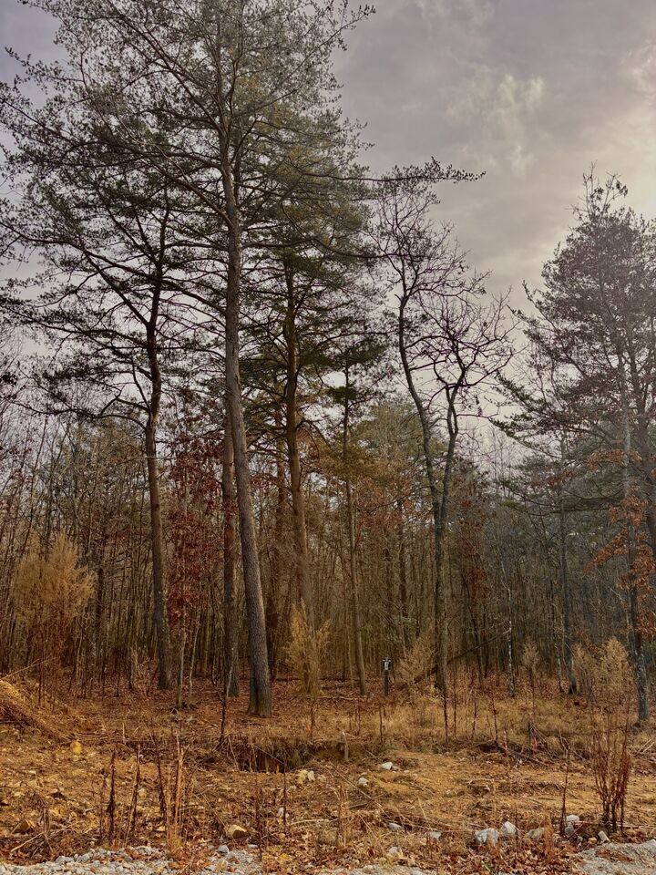 Property Photo:  0 Summerfield Road  TN 37356 