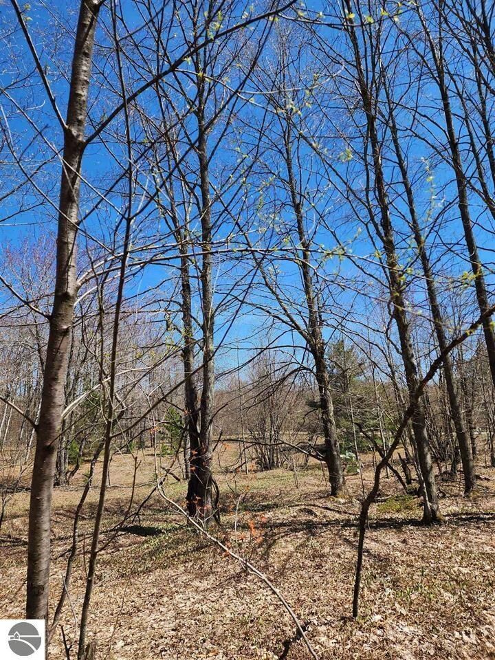 Property Photo: Vl Wilamont Circle MI 49659